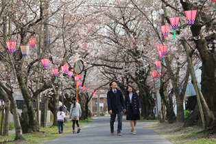 写真：常石神社の桜