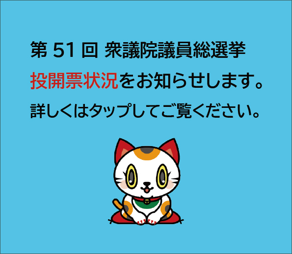 第51回衆議院議員総選挙投開票状況
