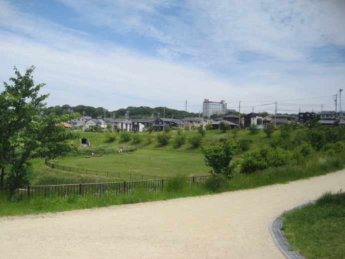 写真：北条公園3