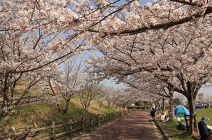 写真：小脇公園