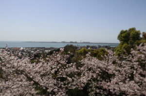 写真：みたけ公園