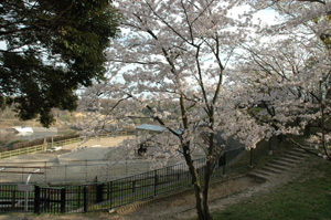 写真：大曽公園