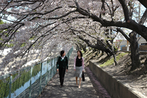 写真：市民病院北