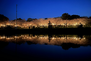 写真：高砂山公園