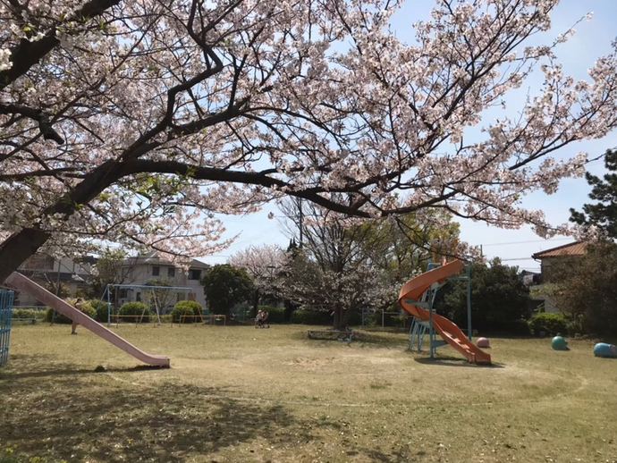 写真：新浜東公園1