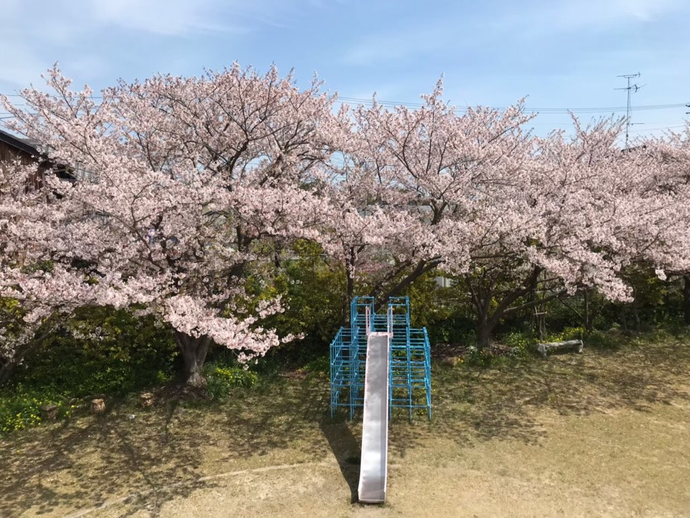 写真：新浜東公園4