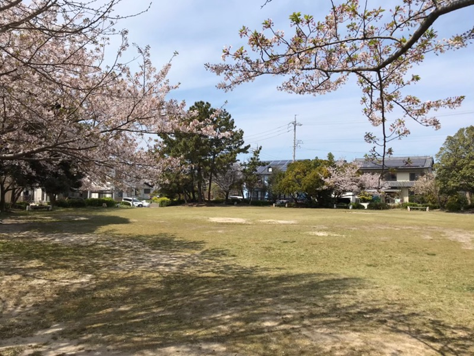 写真：新浜中央公園7