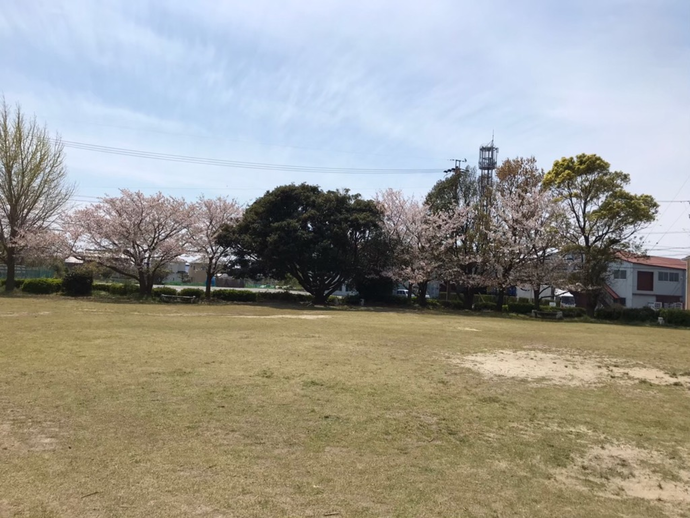 写真：新浜中央公園6