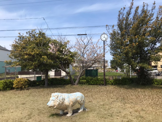 写真：新浜西公園5