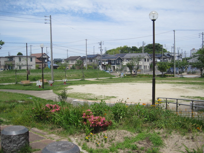 写真：きざくら公園3