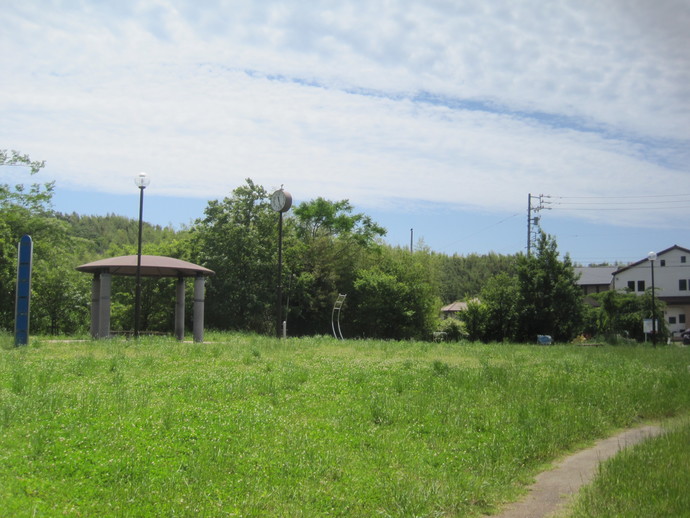 写真：しだれ公園1