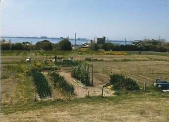 陽なたファームⅡ