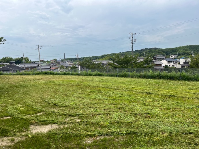 写真：朝陽ケ丘公園2