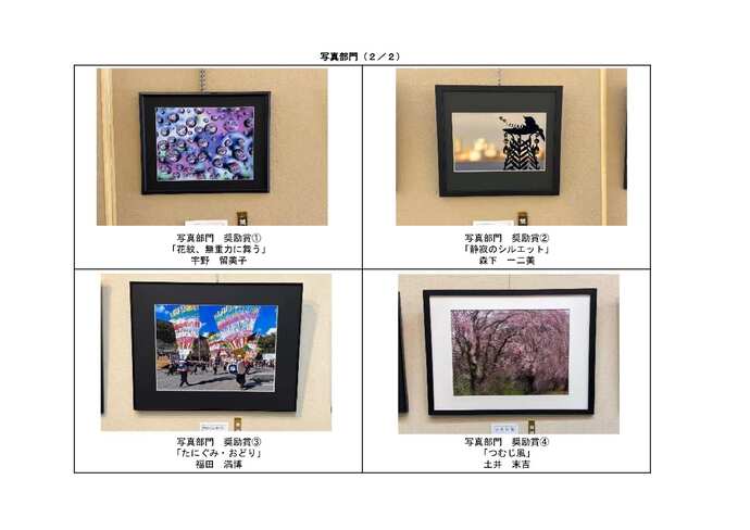 写真